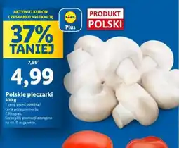 Lidl Polskie pieczarki oferta