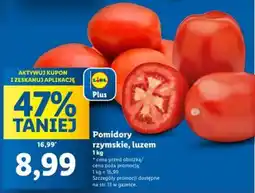 Lidl Pomidory rzymskie oferta