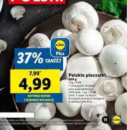 Lidl Polskie pieczarki oferta