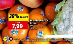 Lidl Mandarynki XXL, luzem oferta