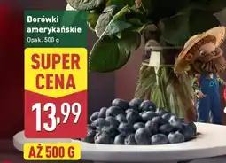 ALDI Borówki amerykańskie oferta