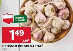 Stokrotka Market Czosnek Harnaś oferta