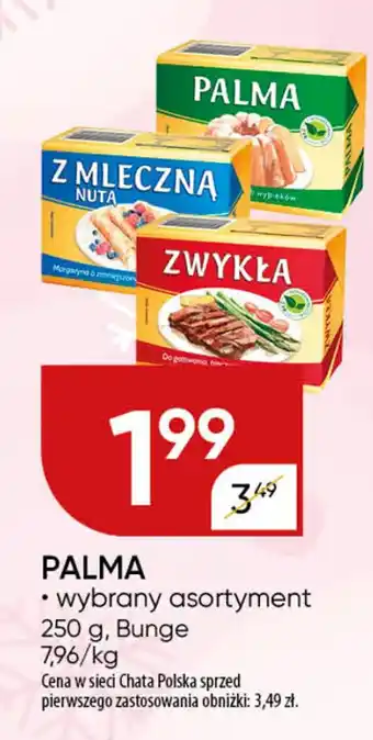 Chata Polska PALMA oferta