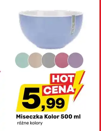 Bricomarche Miseczka MI oferta