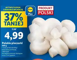 Lidl Pieczarki oferta