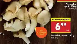 Biedronka Boczniak oferta