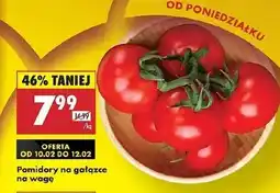 Biedronka Pomidory gałązka oferta