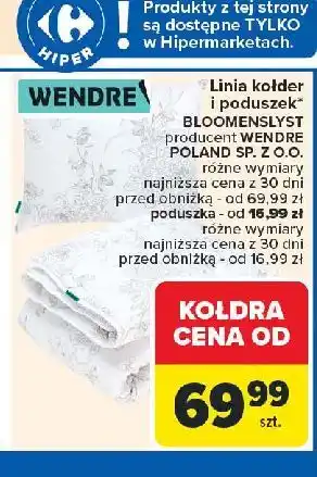 Carrefour Poduszka bloomenslyst Wendre oferta