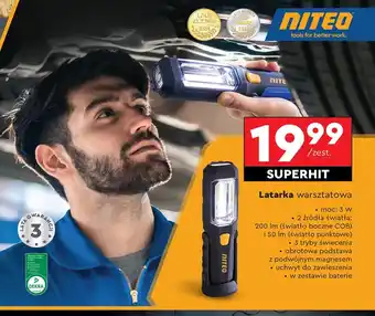 Biedronka Latarka Laur oferta