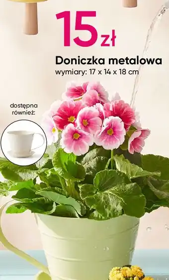 Pepco Doniczka metalowa 17 x 14 18 cm oferta