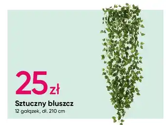 Pepco Sztuczny bluszcz oferta