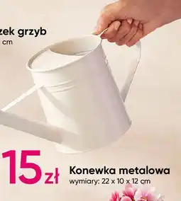 Pepco Konewka metalowa oferta