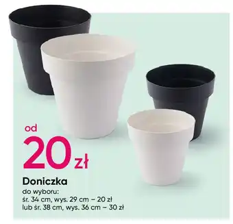 Pepco Doniczka 36 cm oferta