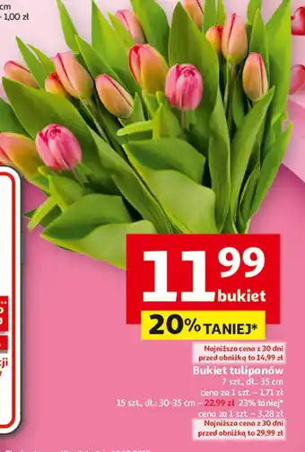 Auchan Bukiet tulipanów O oferta