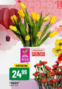 Tulipany