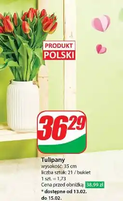 Dino Tulipany bukiet oferta