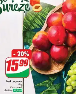 Dino Nektarynki oferta