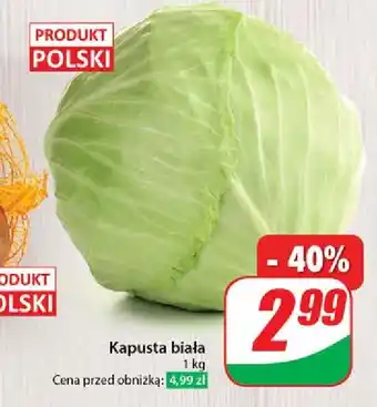 Dino Kapusta biała polska oferta