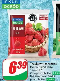 Dino Truskawki Mroźny Ogród oferta