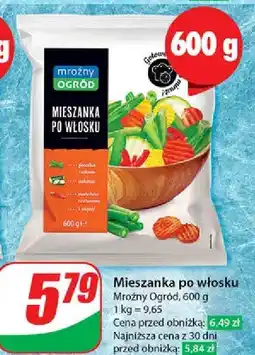 Dino Mieszanka po włosku Mroźny Ogród oferta