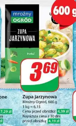 Dino Zupa jarzynowa Mroźny Ogród oferta