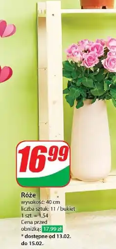 Dino Róże 40 cm oferta