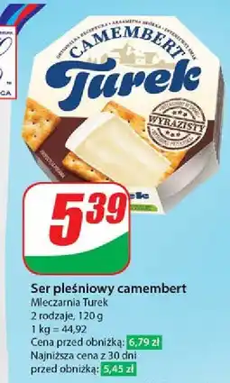 Dino Ser camembert wyrazisty smak Turek oferta