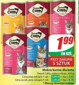 Dino Karma dla kota z rybą Sweet Catty oferta