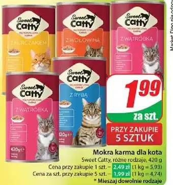 Dino Karma dla kota z rybą Sweet Catty oferta