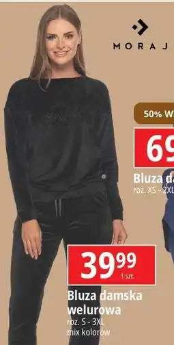 E.Leclerc Bluza damska welurowa Moraj oferta