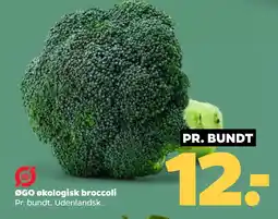 Netto ØGO økologisk broccoli oferta