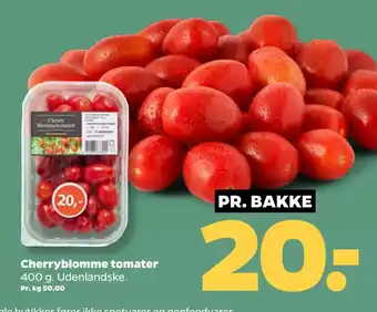 Netto Cherryblomme tomater oferta