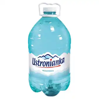 Dino Ustronianka Woda źródlana niegazowana 5 l oferta