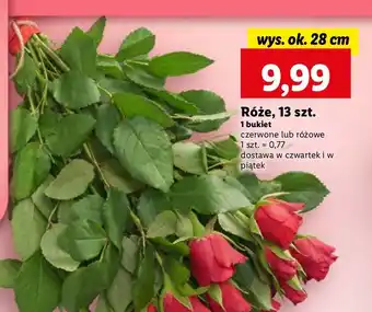 Lidl Róże różowe 28 cm oferta