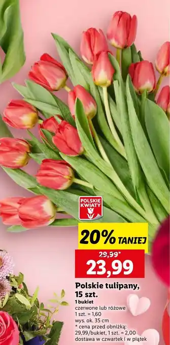 Lidl Tulipany polskie 35 cm oferta