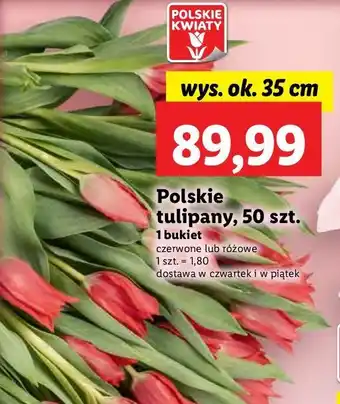 Lidl Tulipany 35 cm oferta