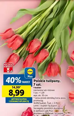 Lidl Tulipany różowe 35 cm oferta