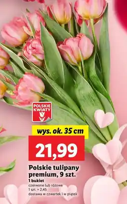 Lidl Tulipany oferta