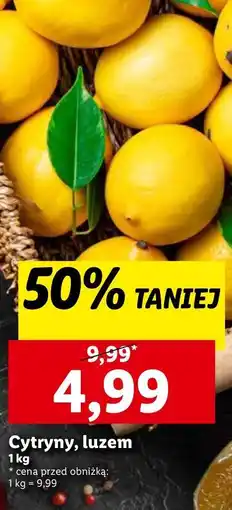 Lidl Cytryny oferta