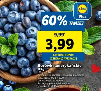 Lidl Borówka amerykańska oferta