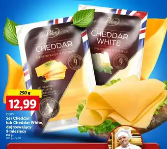 Lidl Ser cheddar white Pilos oferta