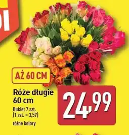 ALDI Róże długie 60 cm oferta