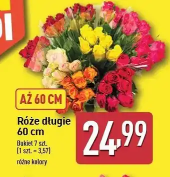 ALDI Róże długie 60 cm oferta