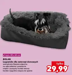 Kaufland Legowisko dla zwierząt oferta