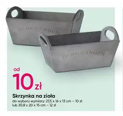 Pepco Skrzynka Gardenic oferta