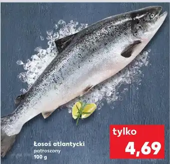 Kaufland Łosoś oferta