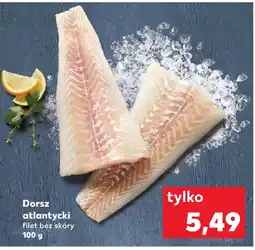 Kaufland Dorsz oferta