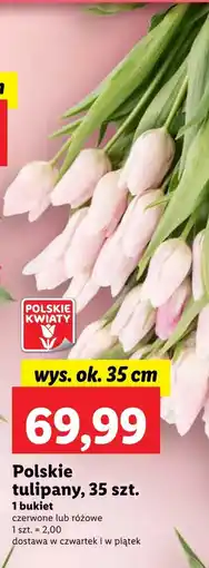 Lidl Bukiet tulipanów Polskie kwiaty oferta