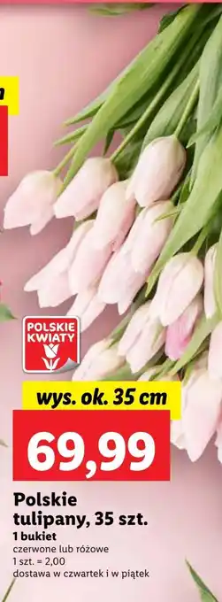 Lidl Bukiet tulipanów Polskie kwiaty oferta