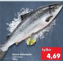 Kaufland Łosoś atlantycki patroszony oferta